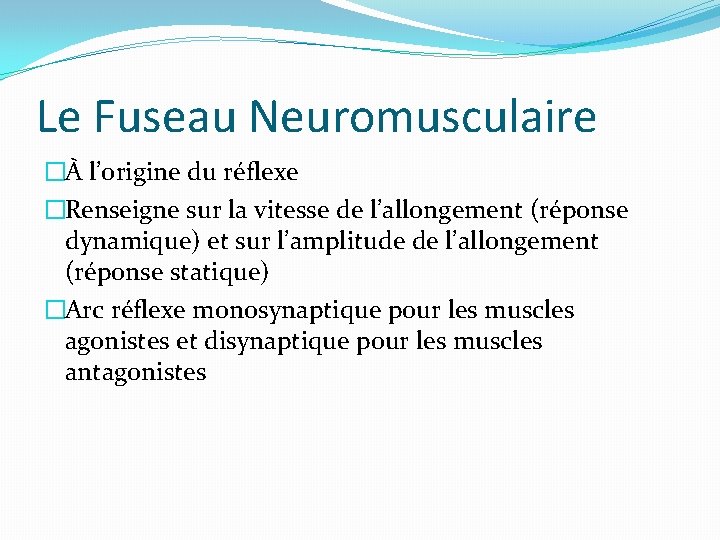 Le Fuseau Neuromusculaire �À l’origine du réflexe �Renseigne sur la vitesse de l’allongement (réponse
