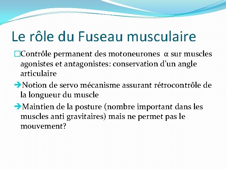 Le rôle du Fuseau musculaire �Contrôle permanent des motoneurones α sur muscles agonistes et