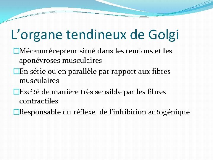 L’organe tendineux de Golgi �Mécanorécepteur situé dans les tendons et les aponévroses musculaires �En