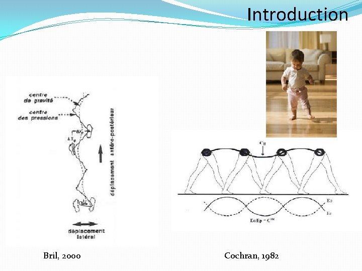 Introduction Bril, 2000 Cochran, 1982 