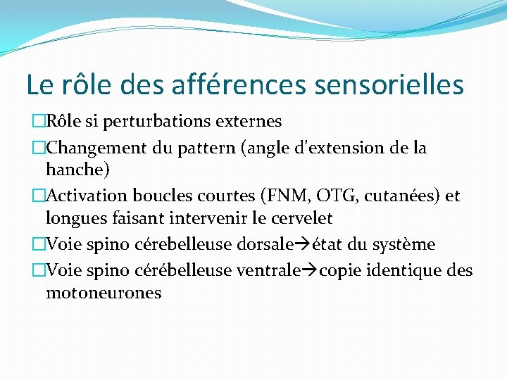 Le rôle des afférences sensorielles �Rôle si perturbations externes �Changement du pattern (angle d’extension