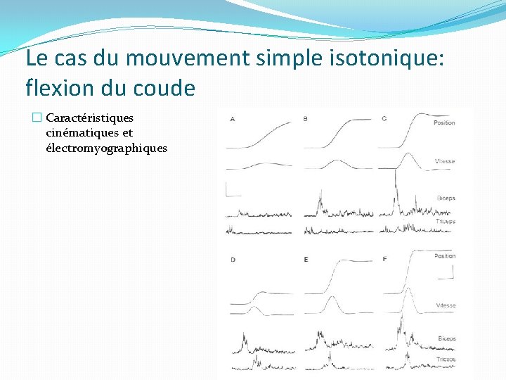 Le cas du mouvement simple isotonique: flexion du coude � Caractéristiques cinématiques et électromyographiques