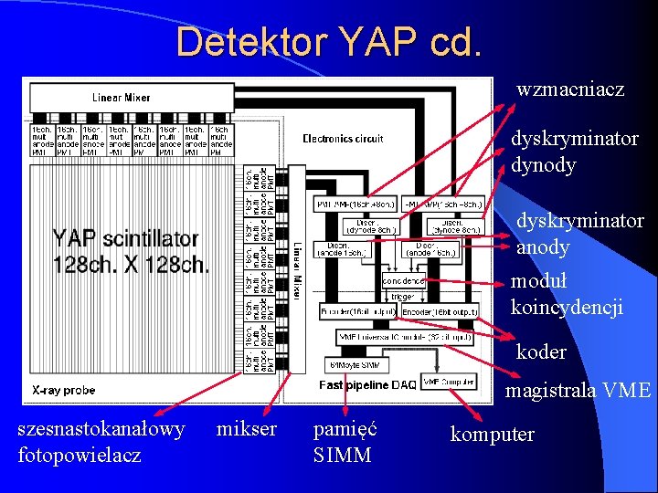 Detektor YAP cd. wzmacniacz dyskryminator dynody dyskryminator anody moduł koincydencji koder magistrala VME szesnastokanałowy