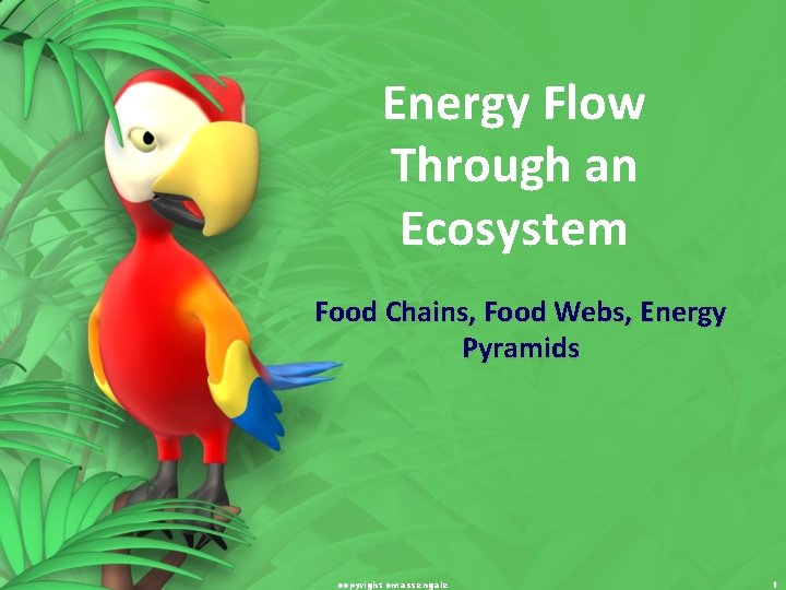 Energy Flow Through an Ecosystem Food Chains, Food Webs, Energy Pyramids copyright cmassengale 1