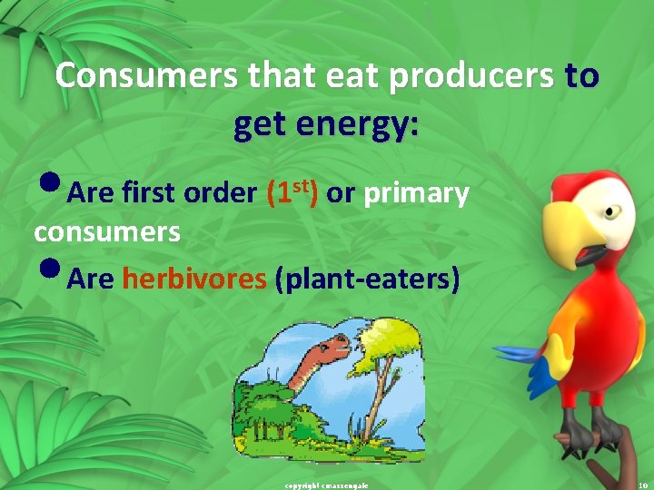 Consumers that eat producers to get energy: • Are first order (1 ) or