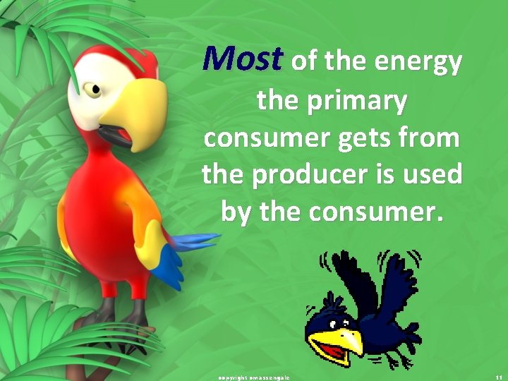 Most of the energy the primary consumer gets from the producer is used by