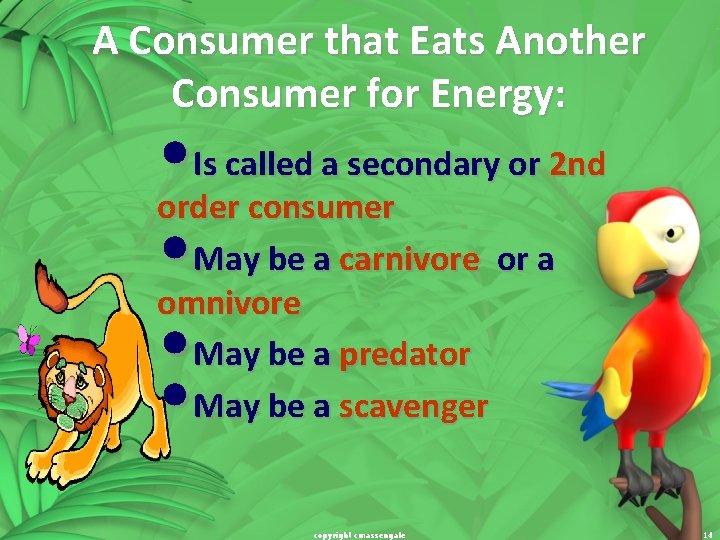 A Consumer that Eats Another Consumer for Energy: • Is called a secondary or