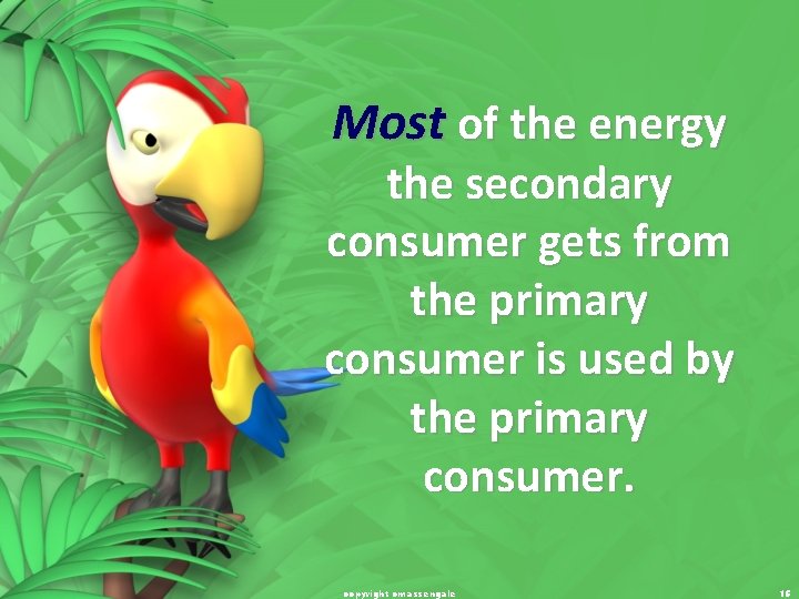 Most of the energy the secondary consumer gets from the primary consumer is used