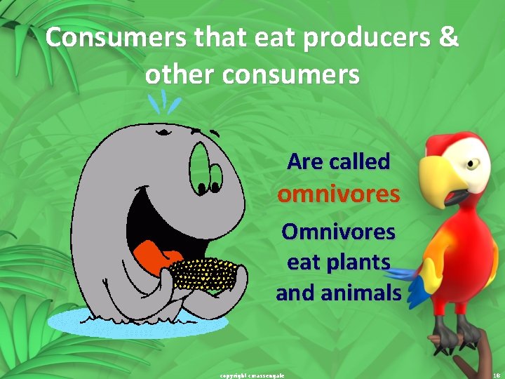 Consumers that eat producers & other consumers Are called omnivores Omnivores eat plants and