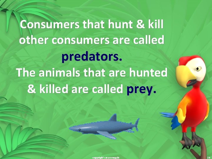 Consumers that hunt & kill other consumers are called predators. The animals that are