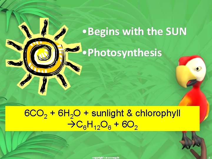  • Begins with the SUN • Photosynthesis 6 CO 2 + 6 H