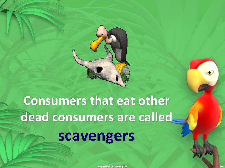 Consumers that eat other dead consumers are called scavengers copyright cmassengale 20 
