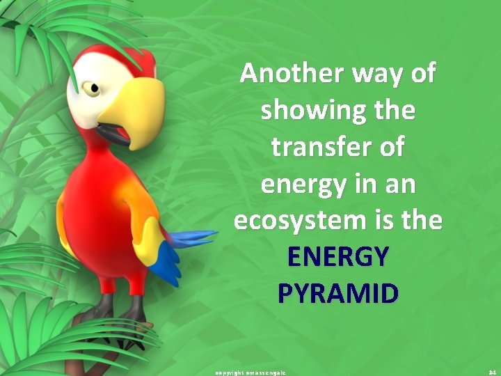 Another way of showing the transfer of energy in an ecosystem is the ENERGY