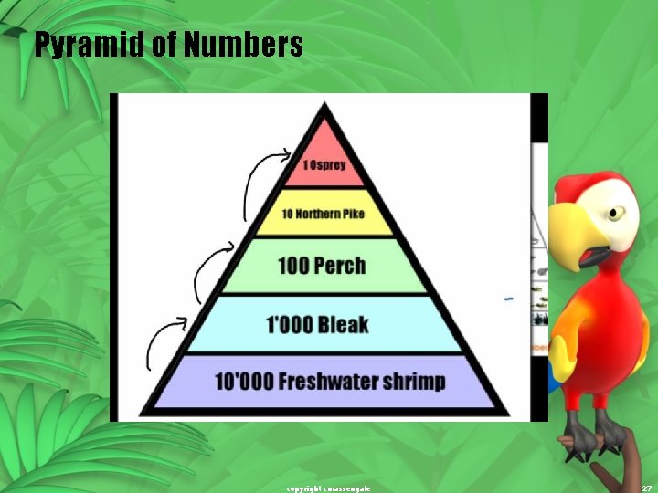 Pyramid of Numbers copyright cmassengale 27 