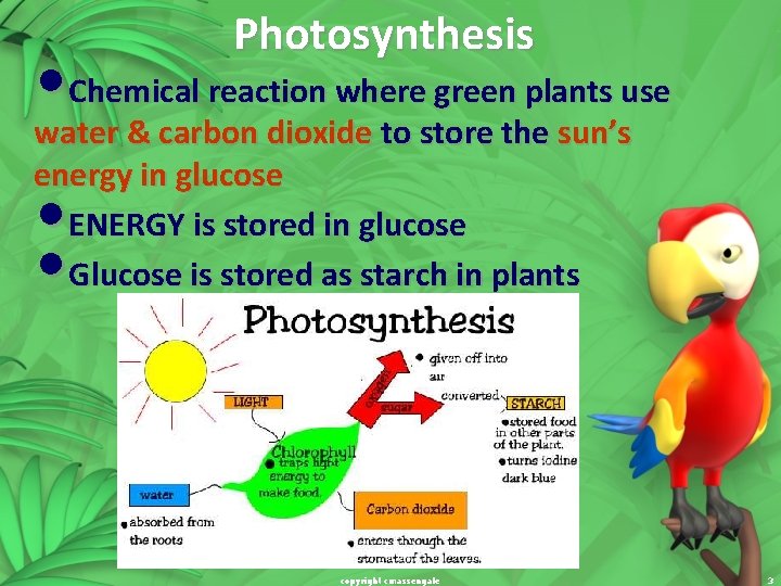 Photosynthesis • Chemical reaction where green plants use water & carbon dioxide to store