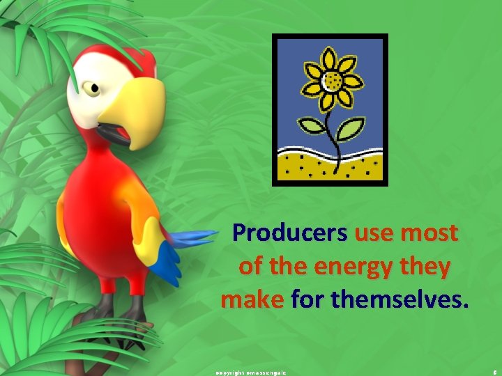 Producers use most of the energy they make for themselves. copyright cmassengale 5 