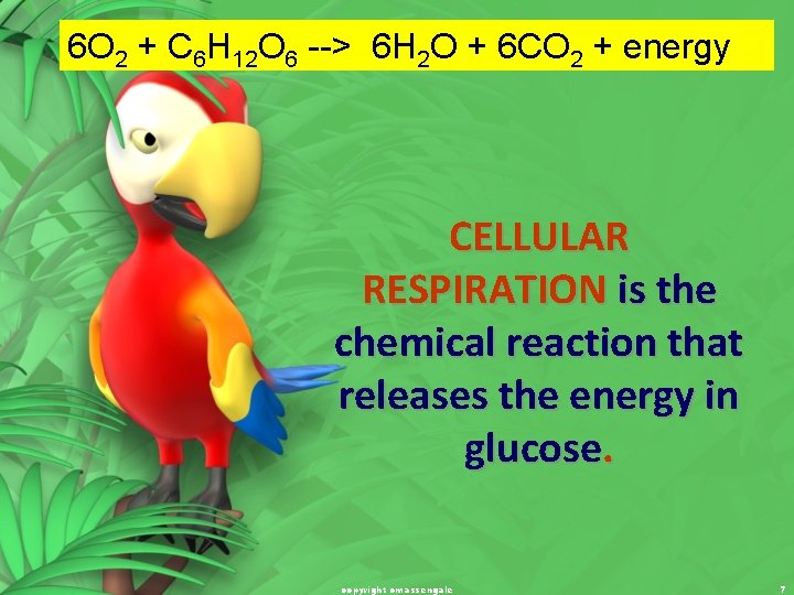 6 O 2 + C 6 H 12 O 6 --> 6 H 2