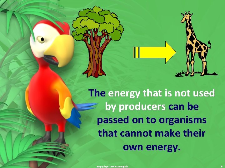 The energy that is not used by producers can be passed on to organisms
