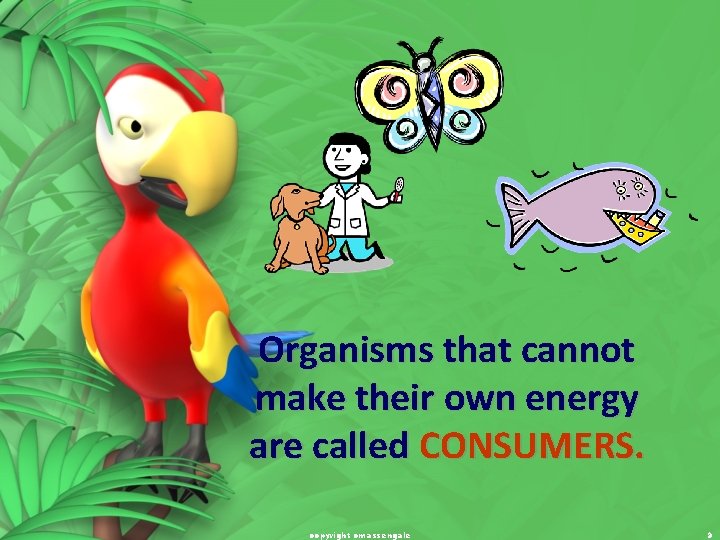 Organisms that cannot make their own energy are called CONSUMERS. copyright cmassengale 9 