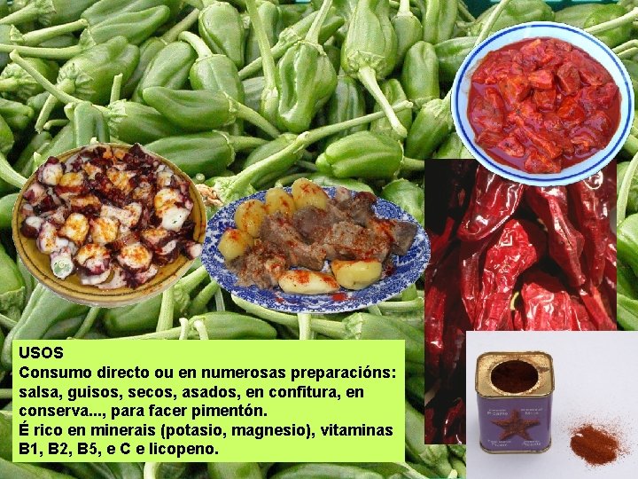 USOS Consumo directo ou en numerosas preparacións: salsa, guisos, secos, asados, en confitura, en