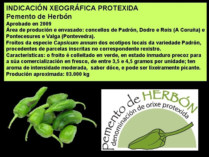 INDICACIÓN XEOGRÁFICA PROTEXIDA Pemento de Herbón Aprobado en 2009 Área de produción e envasado: