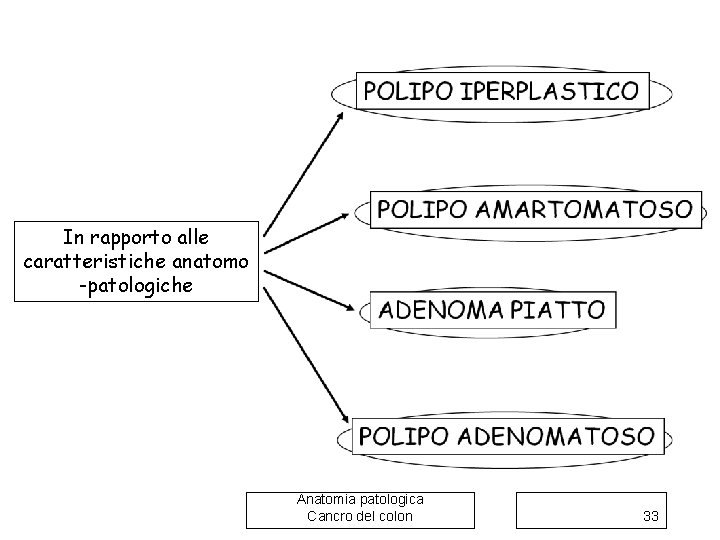 In rapporto alle caratteristiche anatomo -patologiche Anatomia patologica Cancro del colon 33 