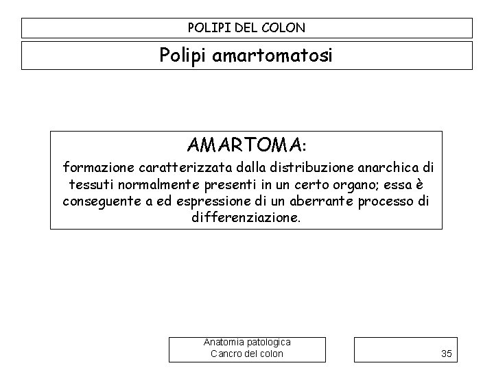 POLIPI DEL COLON Polipi amartomatosi AMARTOMA: formazione caratterizzata dalla distribuzione anarchica di tessuti normalmente