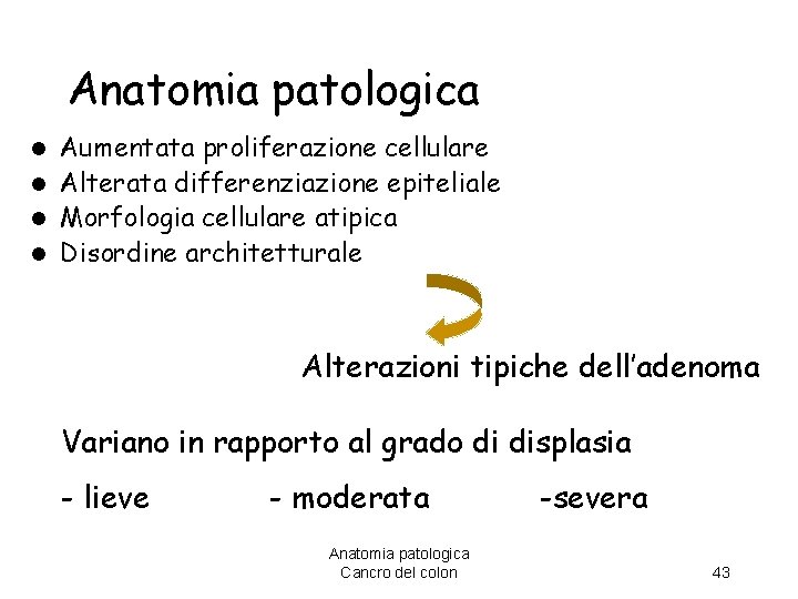 Anatomia patologica Aumentata proliferazione cellulare l Alterata differenziazione epiteliale l Morfologia cellulare atipica l