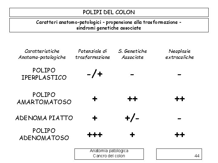 POLIPI DEL COLON Caratteri anatomo-patologici - propensione alla trasformazione sindromi genetiche associate Caratteristiche Anatomo-patologiche