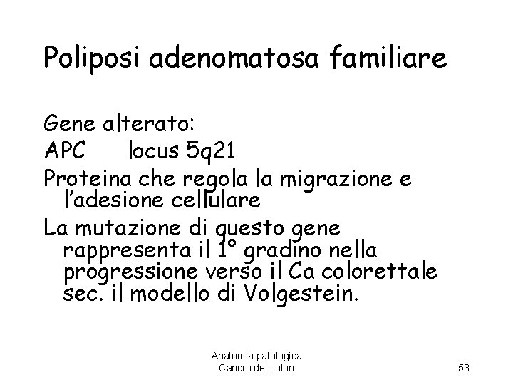 Poliposi adenomatosa familiare Gene alterato: APC locus 5 q 21 Proteina che regola la