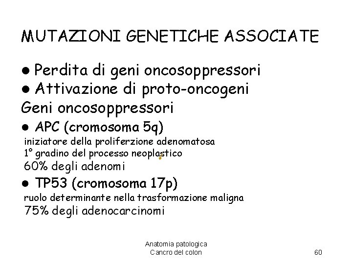 MUTAZIONI GENETICHE ASSOCIATE l Perdita di geni oncosoppressori l Attivazione di proto-oncogeni Geni oncosoppressori