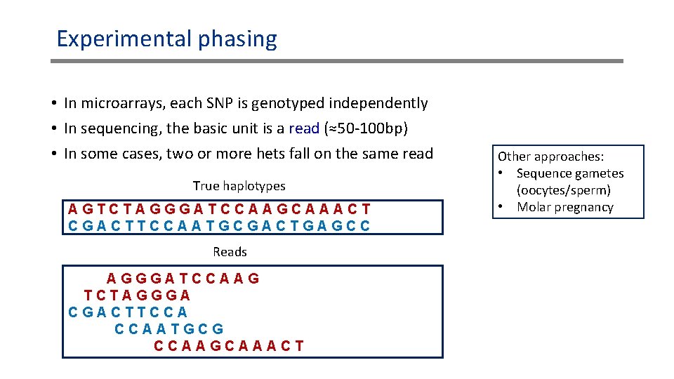 Experimental phasing • In microarrays, each SNP is genotyped independently • In sequencing, the Experimental phasing • In microarrays, each SNP is genotyped independently • In sequencing, the