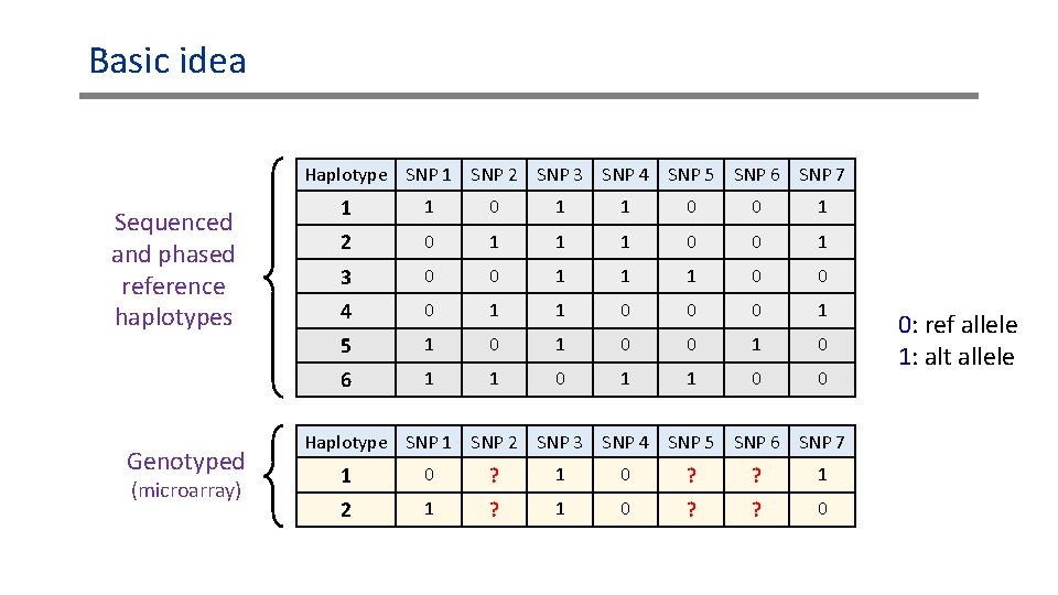 Basic idea Haplotype SNP 1 SNP 2 SNP 3 SNP 4 SNP 5 SNP Basic idea Haplotype SNP 1 SNP 2 SNP 3 SNP 4 SNP 5 SNP