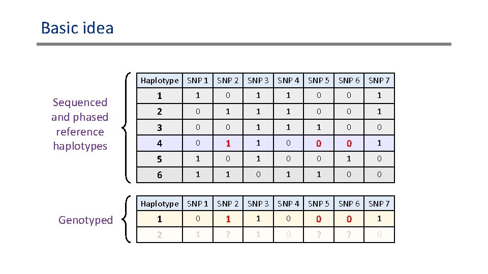 Basic idea Haplotype SNP 1 SNP 2 SNP 3 SNP 4 SNP 5 SNP Basic idea Haplotype SNP 1 SNP 2 SNP 3 SNP 4 SNP 5 SNP