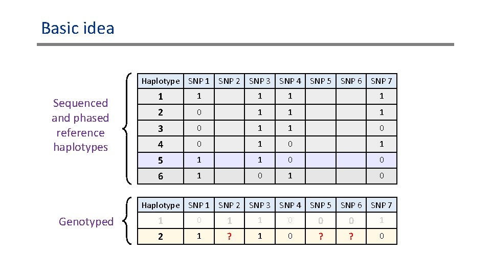 Basic idea Haplotype SNP 1 SNP 2 SNP 3 SNP 4 SNP 5 SNP Basic idea Haplotype SNP 1 SNP 2 SNP 3 SNP 4 SNP 5 SNP