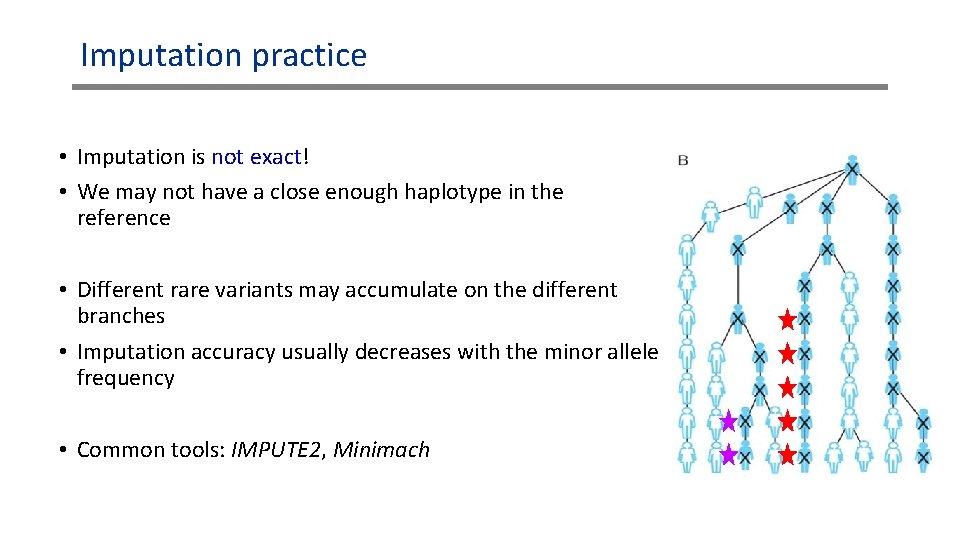 Imputation practice • Imputation is not exact! • We may not have a close Imputation practice • Imputation is not exact! • We may not have a close
