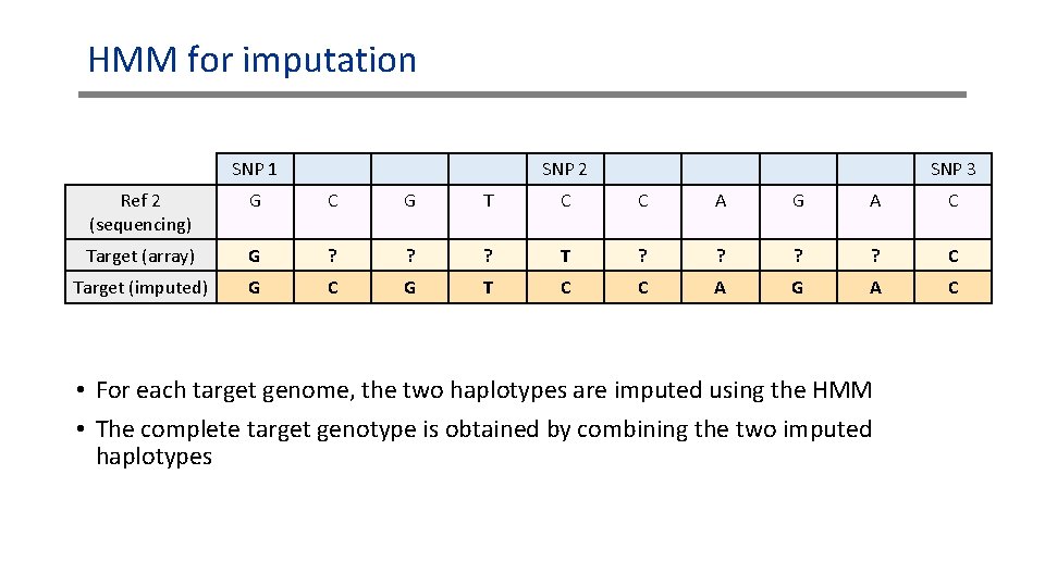 HMM for imputation SNP 1 SNP 2 SNP 3 Ref 2 (sequencing) G C HMM for imputation SNP 1 SNP 2 SNP 3 Ref 2 (sequencing) G C
