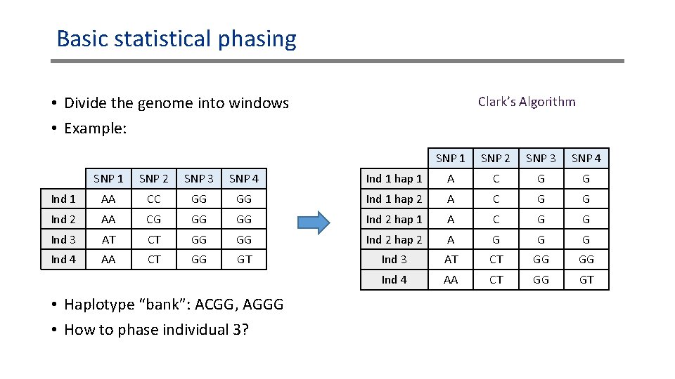 Basic statistical phasing • Divide the genome into windows • Example: Clark’s Algorithm SNP Basic statistical phasing • Divide the genome into windows • Example: Clark’s Algorithm SNP