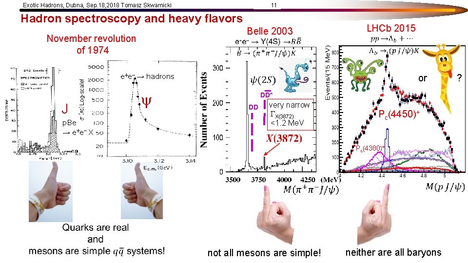 Exotic Hadrons, Dubna, Sep. 18, 2018 Tomasz Skwarnicki 11 Hadron spectroscopy and heavy flavors