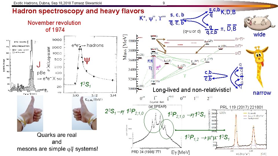 Exotic Hadrons, Dubna, Sep. 18, 2018 Tomasz Skwarnicki 9 Hadron spectroscopy and heavy flavors