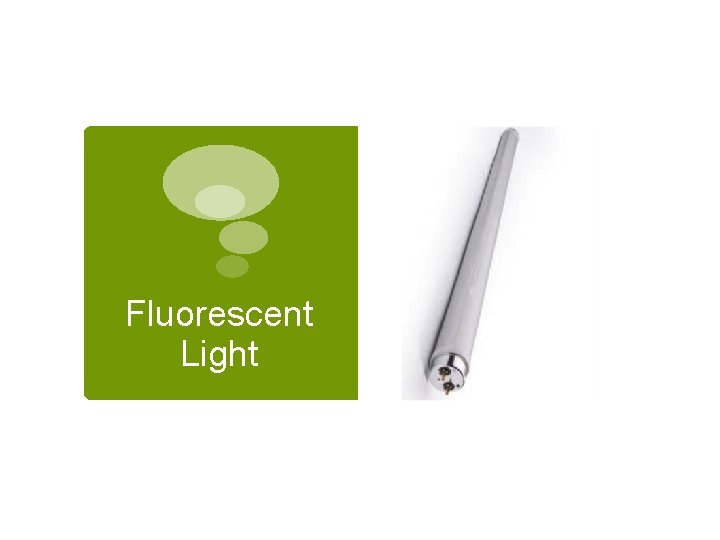 Fluorescent Light 