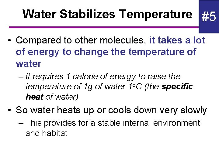 Water Stabilizes Temperature #5 • Compared to other molecules, it takes a lot of