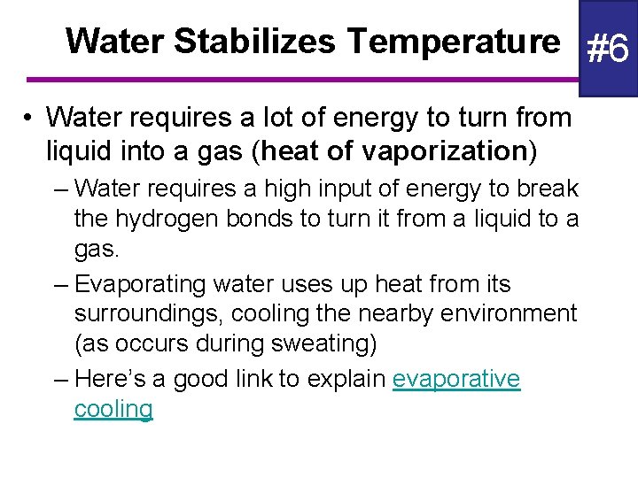 Water Stabilizes Temperature #6 • Water requires a lot of energy to turn from