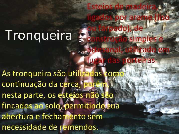 Tronqueira Esteios de madeira, ligados por arame (liso ou farpado), de construção simples e Tronqueira Esteios de madeira, ligados por arame (liso ou farpado), de construção simples e