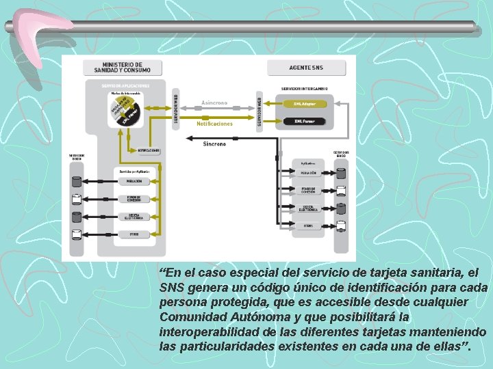 “En el caso especial del servicio de tarjeta sanitaria, el SNS genera un código