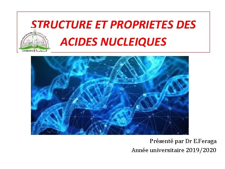 STRUCTURE ET PROPRIETES DES ACIDES NUCLEIQUES Présenté par Dr E. Feraga Année universitaire 2019/2020