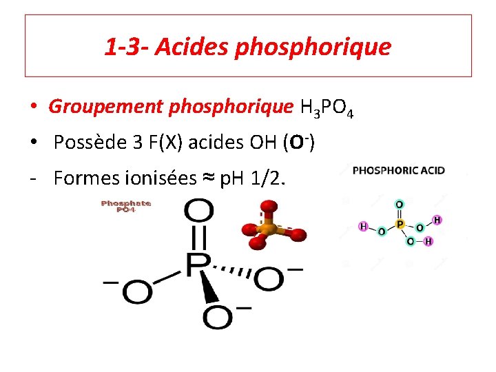 1 -3 - Acides phosphorique • Groupement phosphorique H 3 PO 4 • Possède