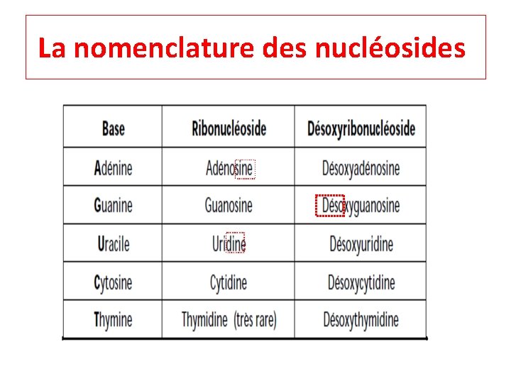 La nomenclature des nucléosides 