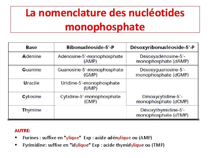 La nomenclature des nucléotides monophosphate AUTRE: § Purines : suffixe en "ylique" Exp :