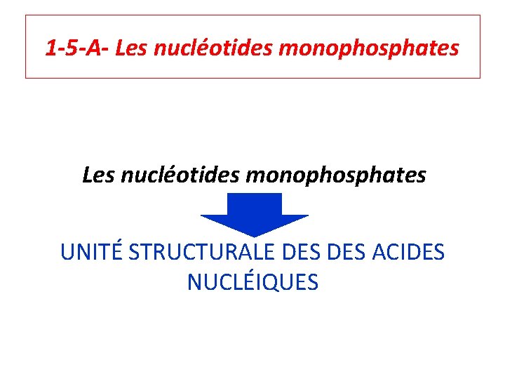 1 -5 -A- Les nucléotides monophosphates UNITÉ STRUCTURALE DES ACIDES NUCLÉIQUES 